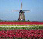 �������� �� ���������