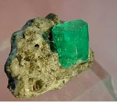 ������������ ��������