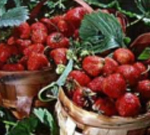 �� ������ � ������� 