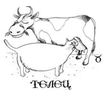 �������� �� ���������: �����