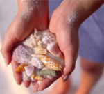 �������� � ������� �������� � ��������